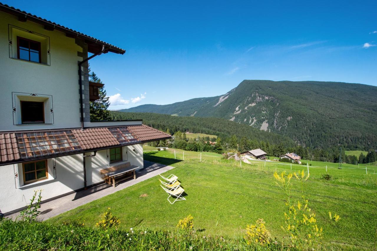 Chalet Alpina Apartment Ortisei Exterior photo